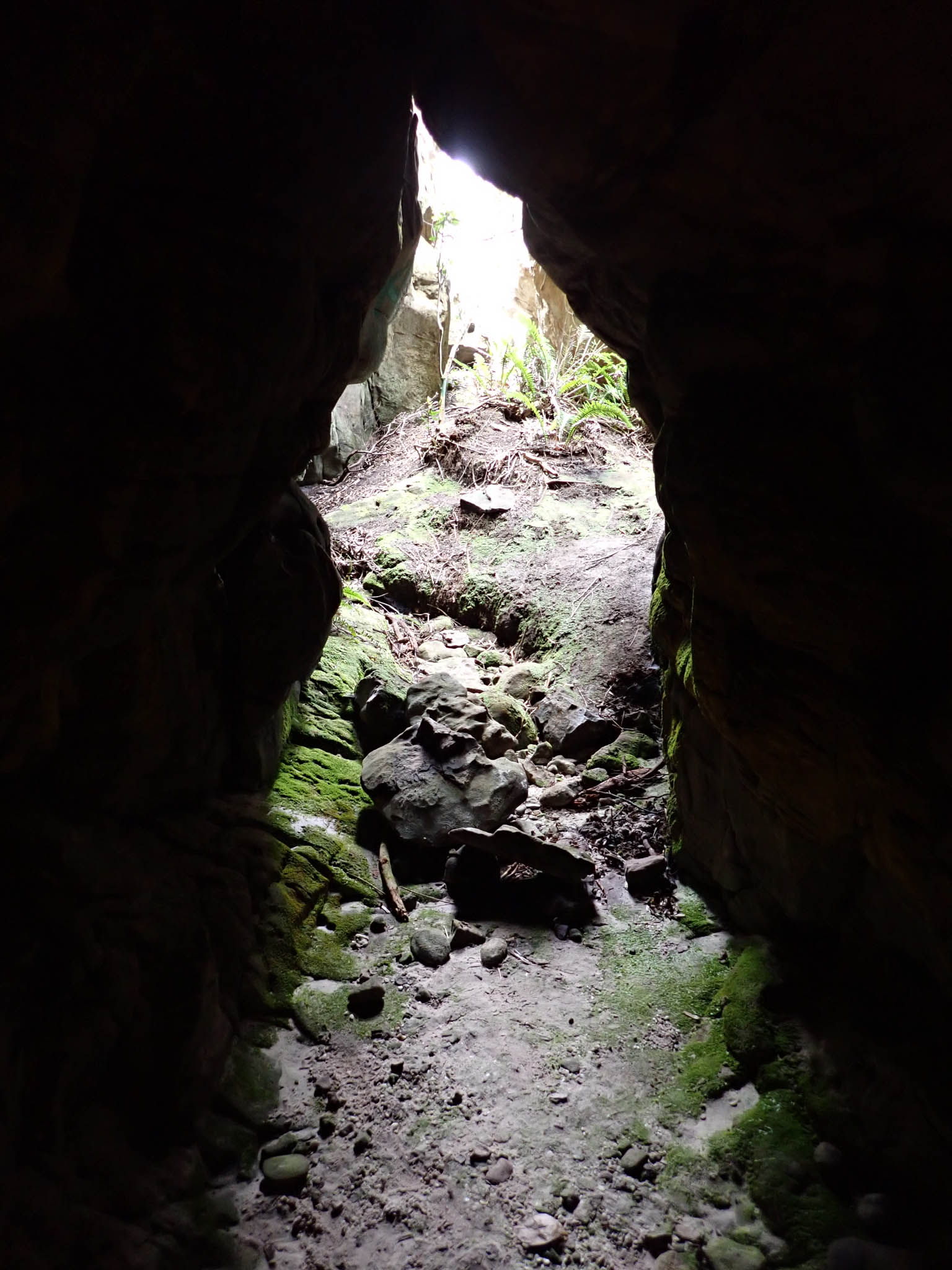 Erica Cave entrance